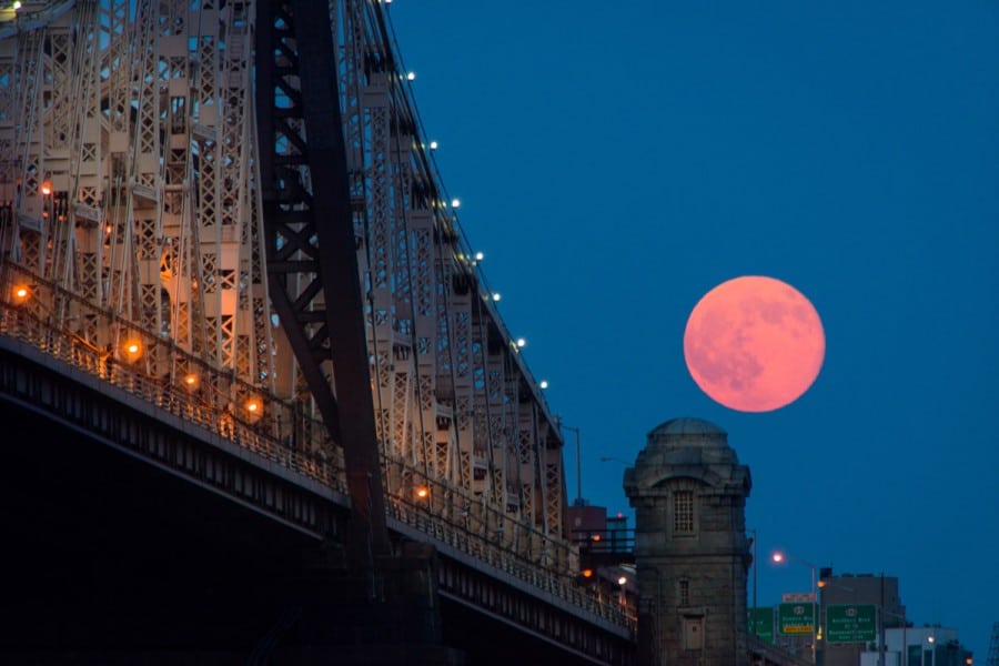 NYC-2014_0582P