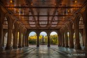 NYC-2014_009441R