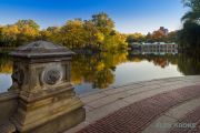 NYC-2014_00962R